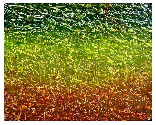 Oil Painting